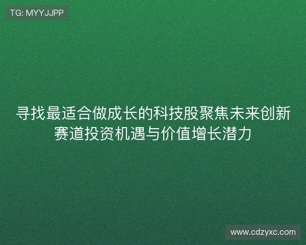 寻找最适合做成长的科技股聚焦未来创新赛道投资机遇与价值增长潜力 寻找最适合做成长的科技股聚焦未来创新赛道投资机遇与价值增长潜力